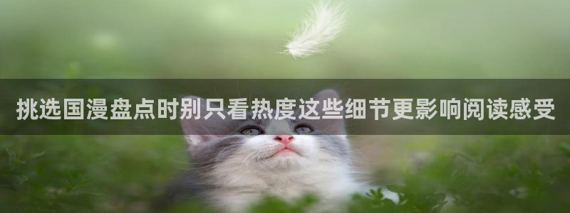 风车漫画:挑选国漫盘点时别只看热度这些细节更影响阅读感受